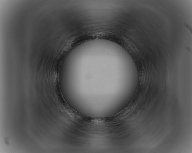X0000091950660200709061041