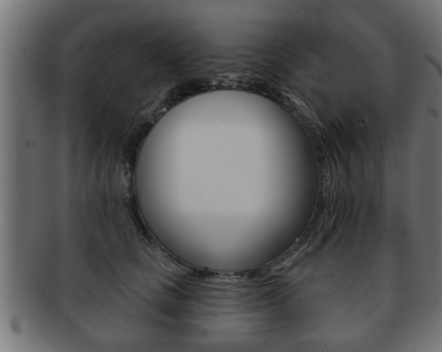 X0000091950661200709061041