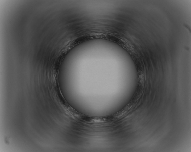 X0000091950662200709061041