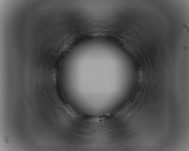 X0000091950664200709061041