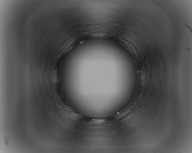 X0000091950665200709061041