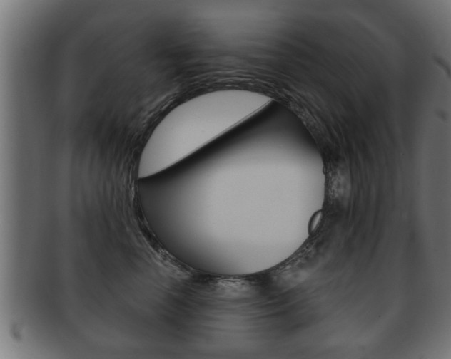 X0000091950666200709061041