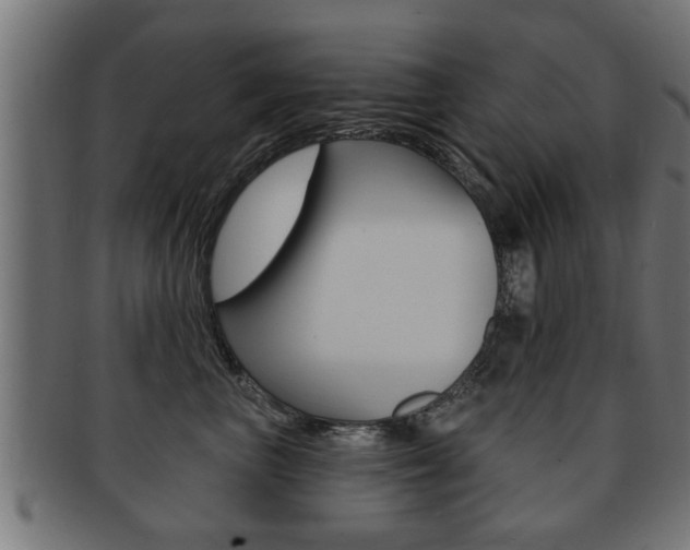 X0000091950667200709061041