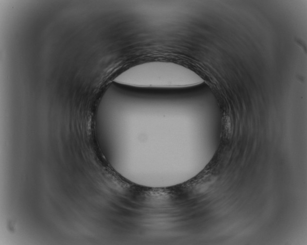 X0000091950668200709061041