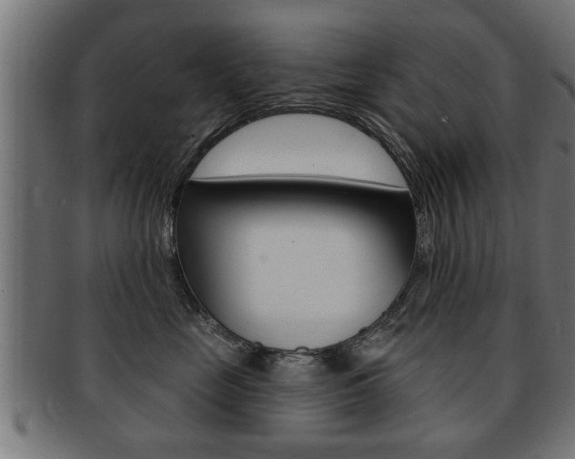 X0000091950669200709061041