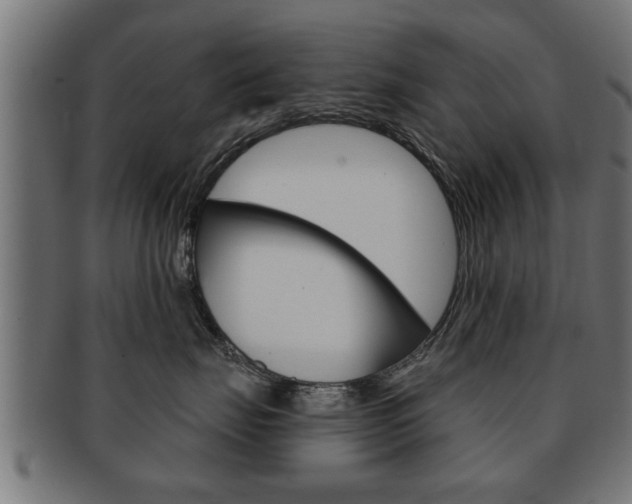 X0000091950671200709061041