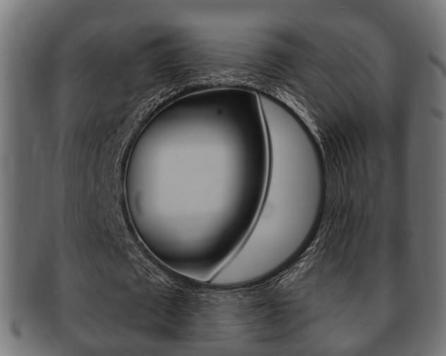 X0000091950673200709061040