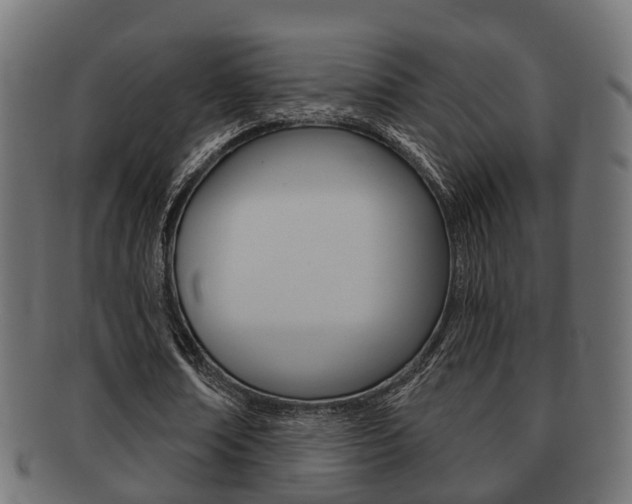 X0000091950674200709061040