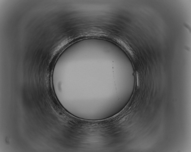 X0000091950675200709061040