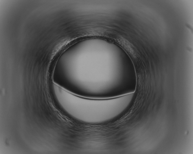 X0000091950676200709061040
