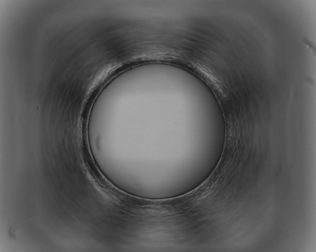 X0000091950678200709061040