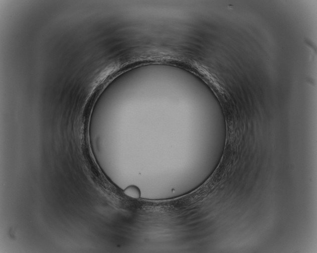X0000091950679200709061040