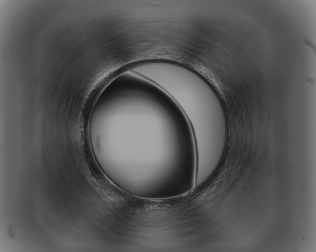 X0000091950680200709061040