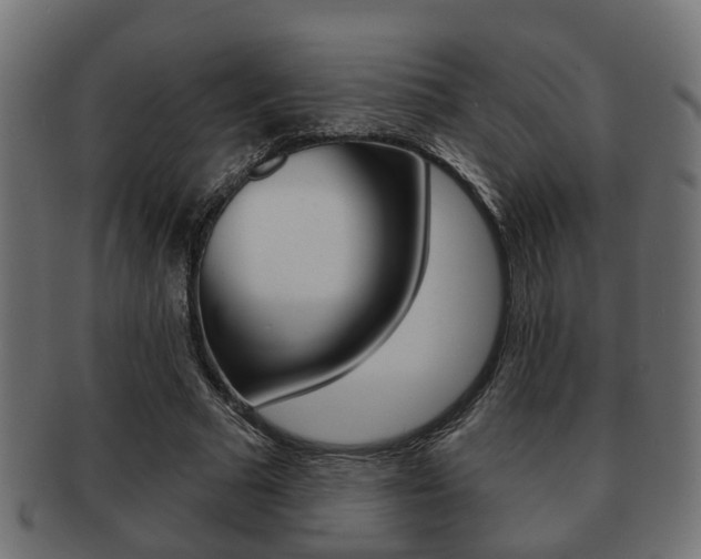 X0000091950681200709061040