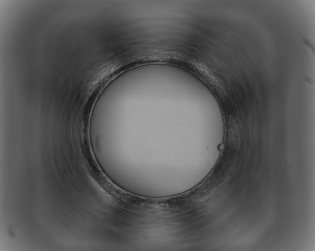 X0000091950683200709061040