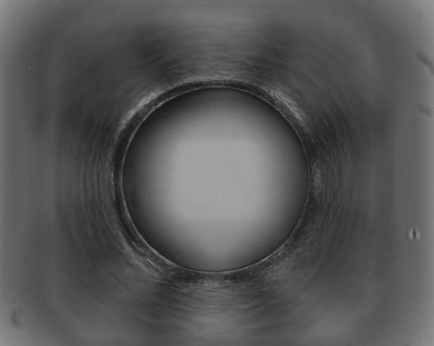 X0000091950684200709061040