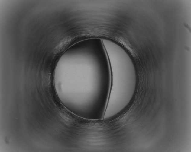 X0000091950685200709061040