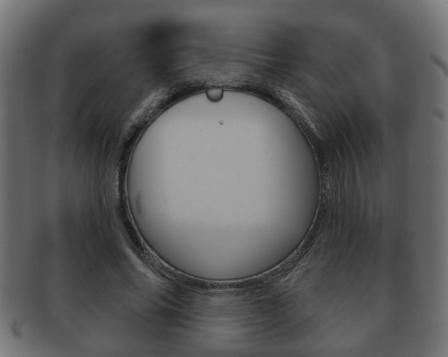 X0000091950686200709061040