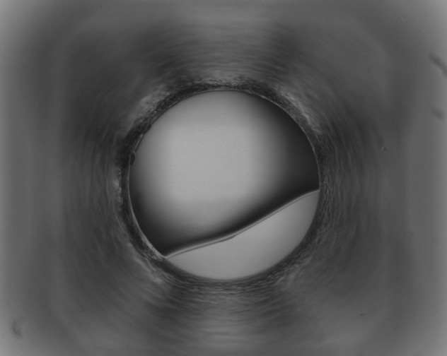 X0000091950688200709061040