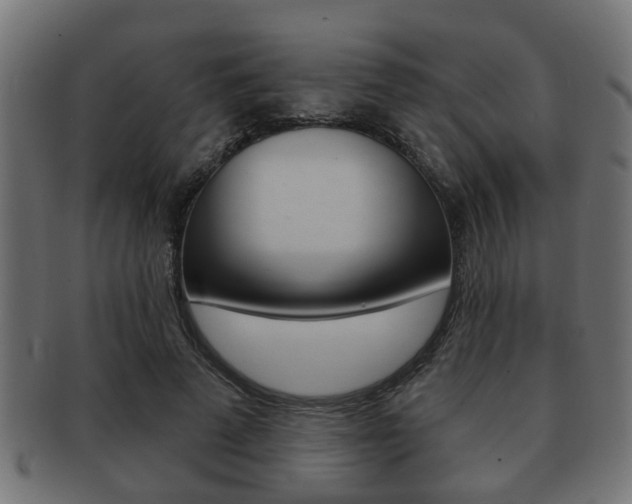 X0000091950689200709061040