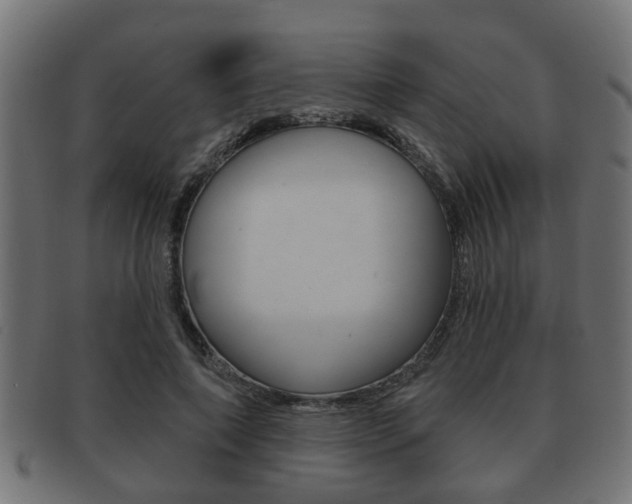 X0000091950690200709061040