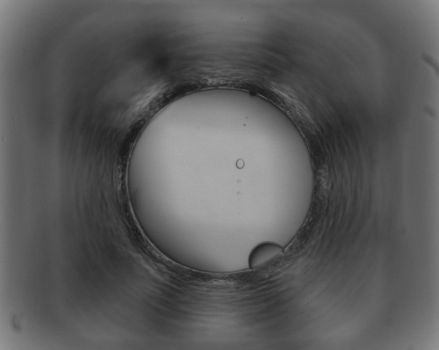 X0000091950691200709061040