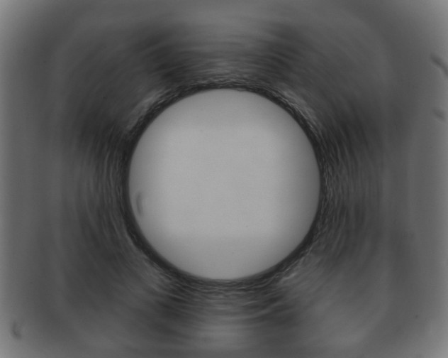 X0000091950693200709061040