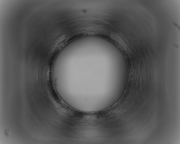X0000091950694200709061040