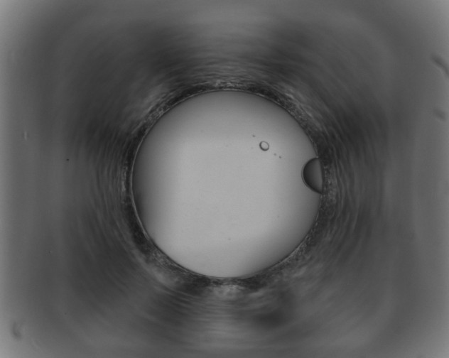 X0000091950695200709061040
