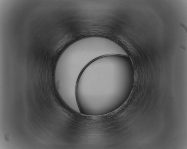 X0000091950696200709061040