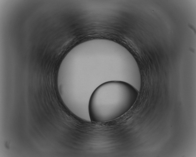 X0000091950697200709061040