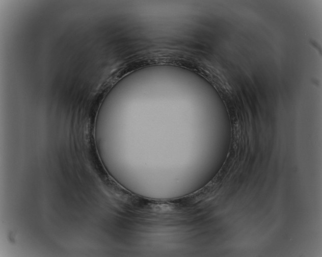 X0000091950698200709061039