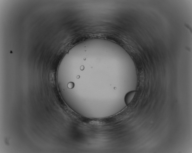 X0000091950699200709061039