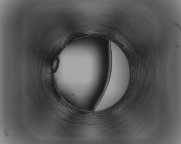 X0000091950700200709061039