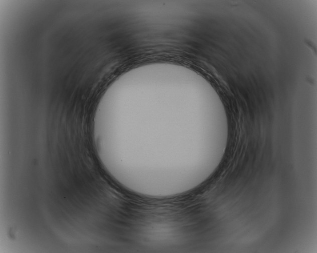 X0000091950701200709061039