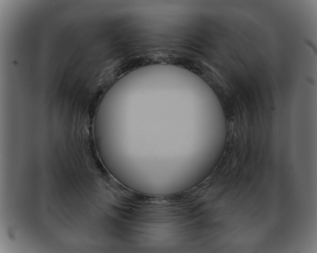 X0000091950702200709061039