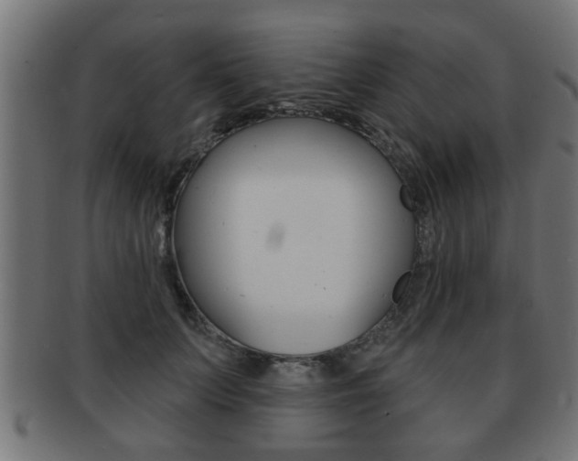 X0000091950703200709061039