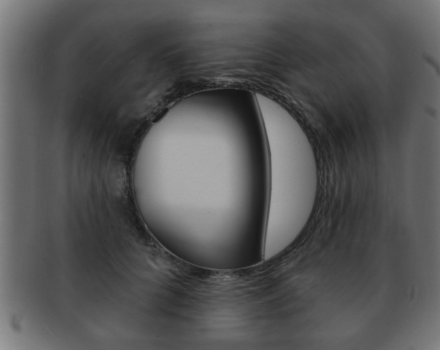 X0000091950704200709061039