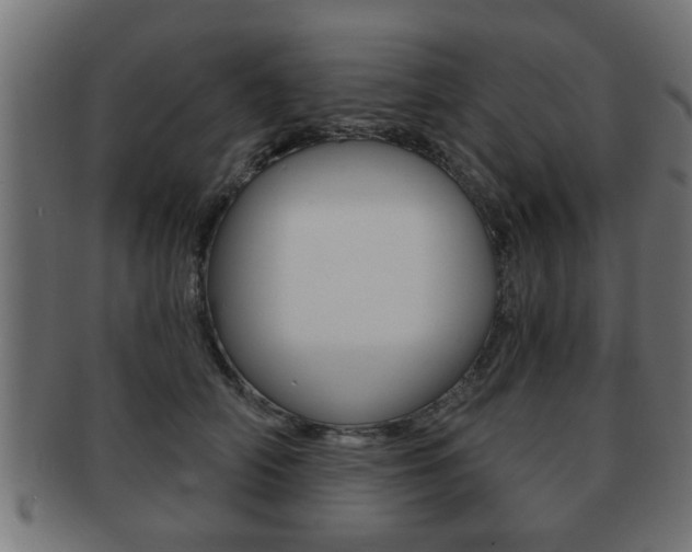 X0000091950706200709061039