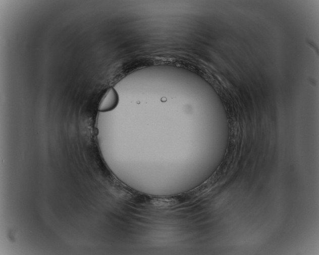 X0000091950707200709061039