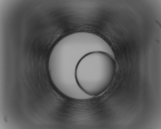 X0000091950708200709061039