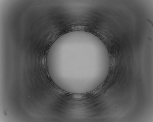 X0000091950709200709061039