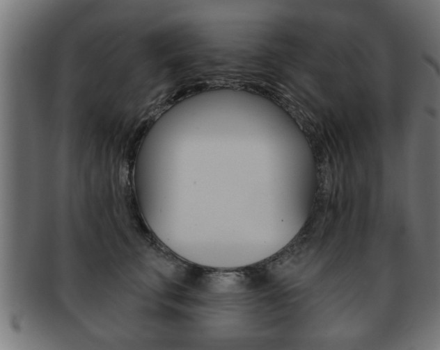 X0000091950711200709061039