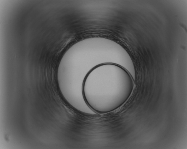 X0000091950712200709061039