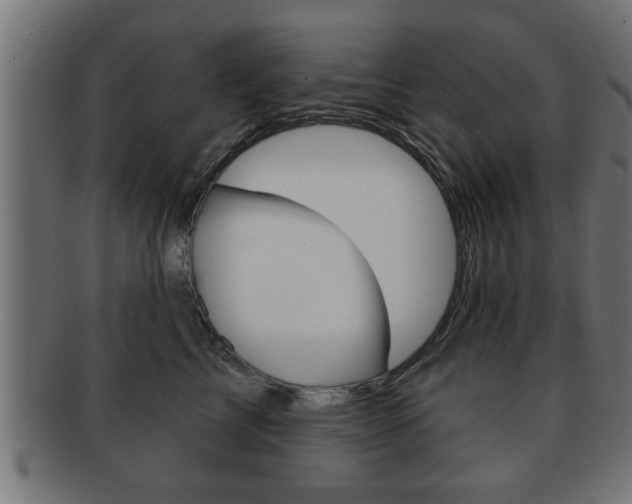 X0000091950713200709061039