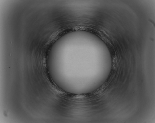 X0000091950714200709061039