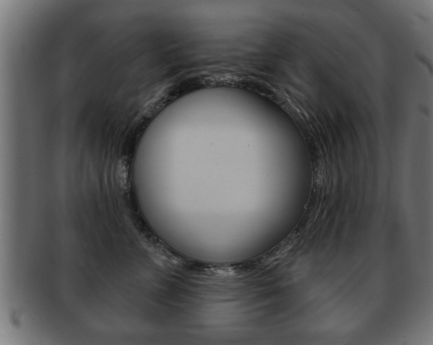 X0000091950715200709061039