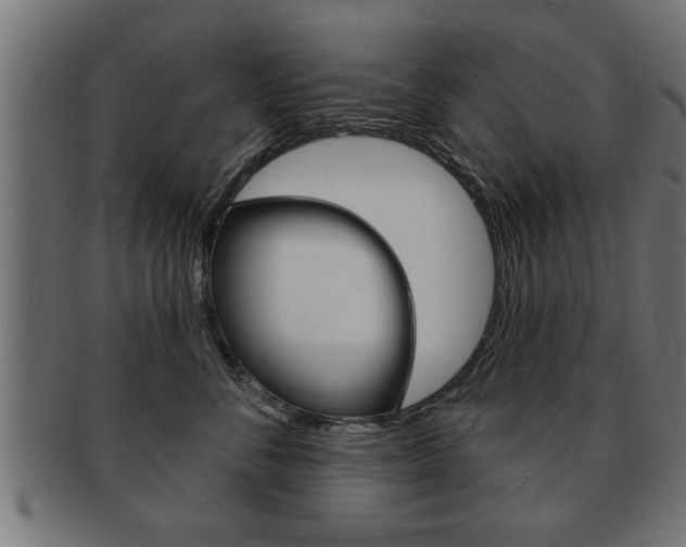 X0000091950716200709061039