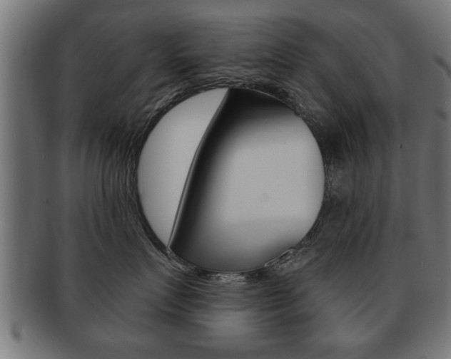X0000091950719200709061039