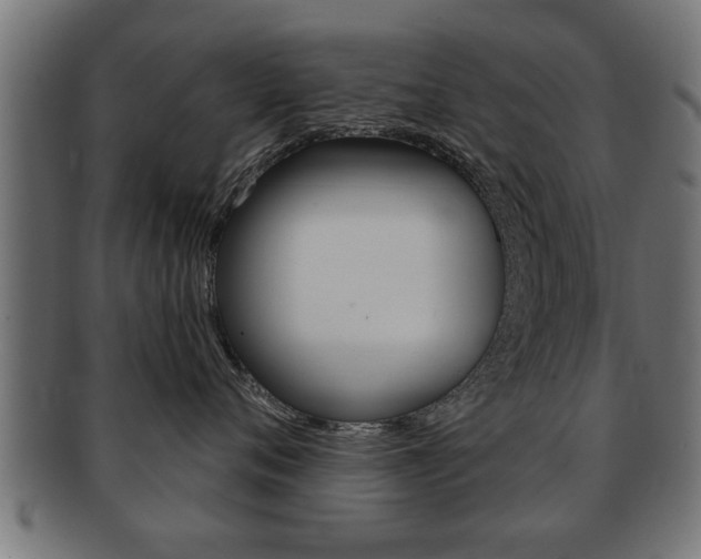 X0000091950720200709061039